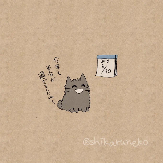 ハーフタイムデーの、あまやかすねこと、ながめるねこ

2019年もあと半分です〜 