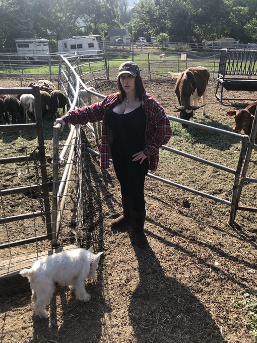 #countrylife #cowgirls #getonandride #CaliforniaLove https://t.co/xrPkPRRi3x<a href="/tag/countrylife"class="tags">#countrylife</a><a href="/tag/cowgirls"class="tags">#cowgirls</a><a href="/tag/getonandride"class="tags">#getonandride</a><a href="/tag/californialove"class="tags">#CaliforniaLove</a>