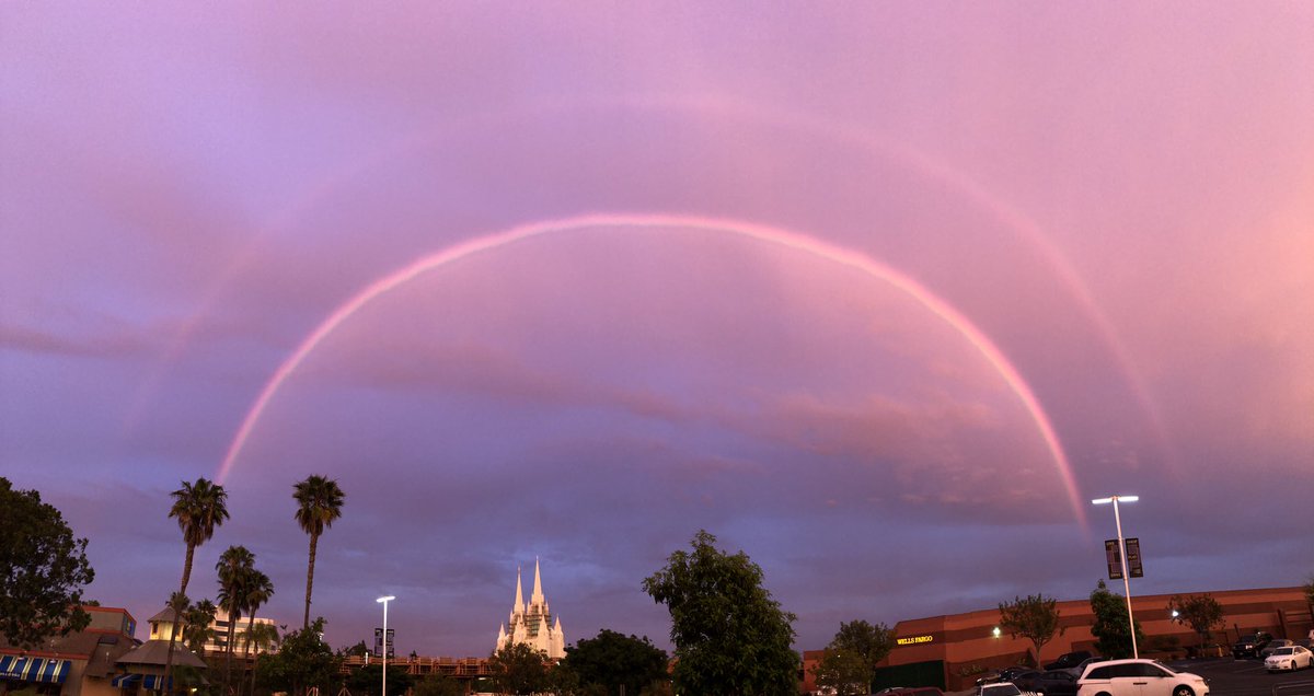 AF Chong, MD tweet media