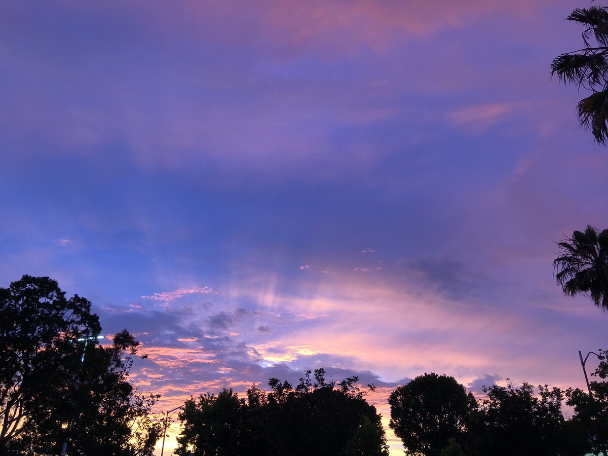 AF Chong, MD tweet media