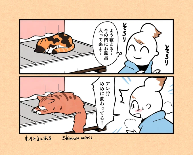 ちょっと目を離した隙に入れ替わってることは割とよくあります。
めめぴぴはりんちゃんの寝場所をよく横取りします? 