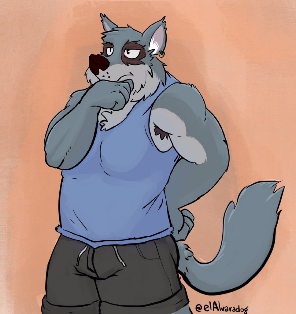 Alvaradog 🐕 tweet media