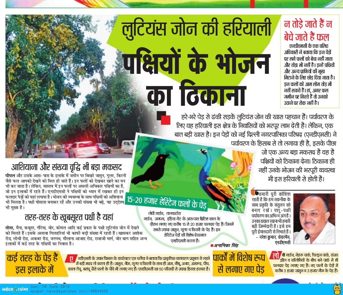 anamikasingh358's tweet photo. जाने क्यों लगाए जाते हैं एनडीएमसी एरिया में फलों के पेड़ @tweetndmc @tourismgoi @ministryofHome @AmitShah @PMOIndia @navodayatimes #ndmc #fruittrees #lutiyanzdelhi #birdswatcher #birds #environment https://t.co/CMRcd5VyKb