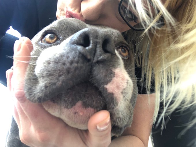 😘😘😘 #babyblue https://t.co/i77UBEuHNX<a href="/tag/babyblue"class="tags">#babyblue</a>