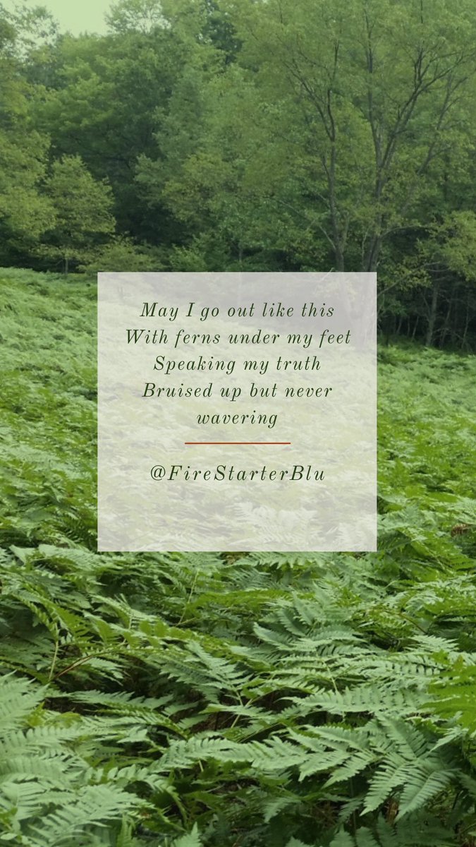 Firestarterblu's tweet photo. May I go out like this
With ferns under my feet 
Speaking my truth
Bruised up but never wavering 
                            #Firestarterblu

#poet #Author #writer https://t.co/XGnSOCqDhS