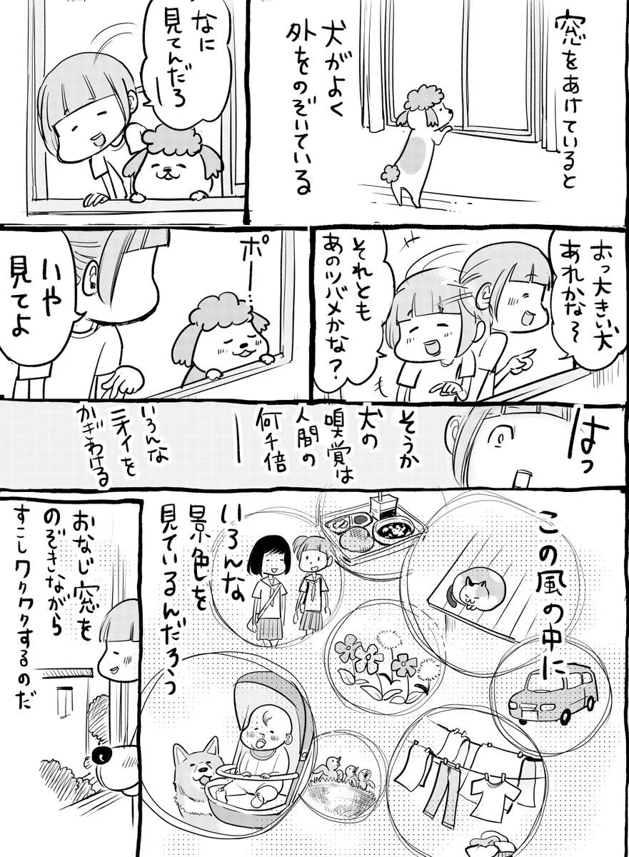 犬と猫どっちも飼っているといつもの景色も少し違って見えて楽しい！！