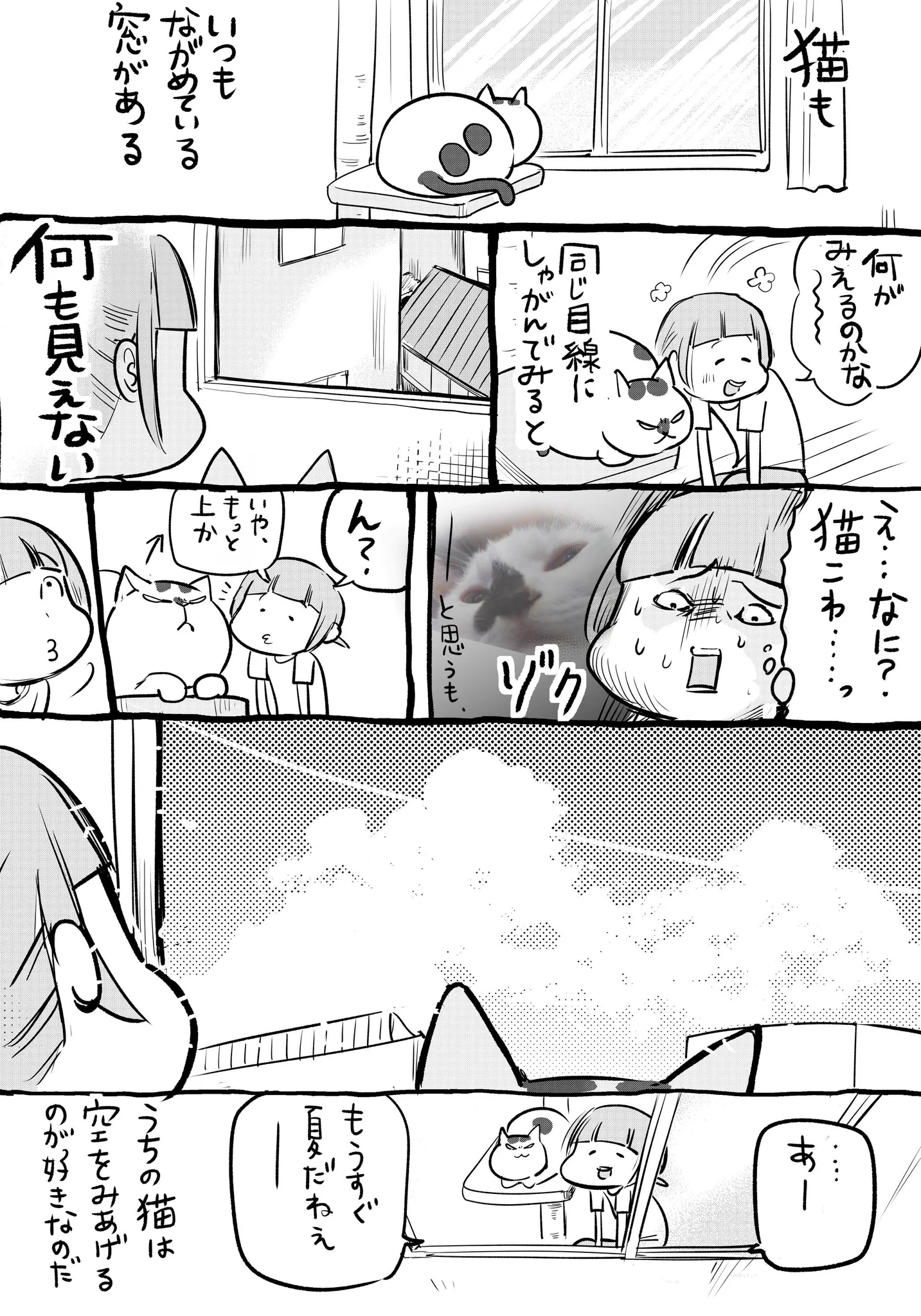 犬と猫どっちも飼っているといつもの景色も少し違って見えて楽しい！！