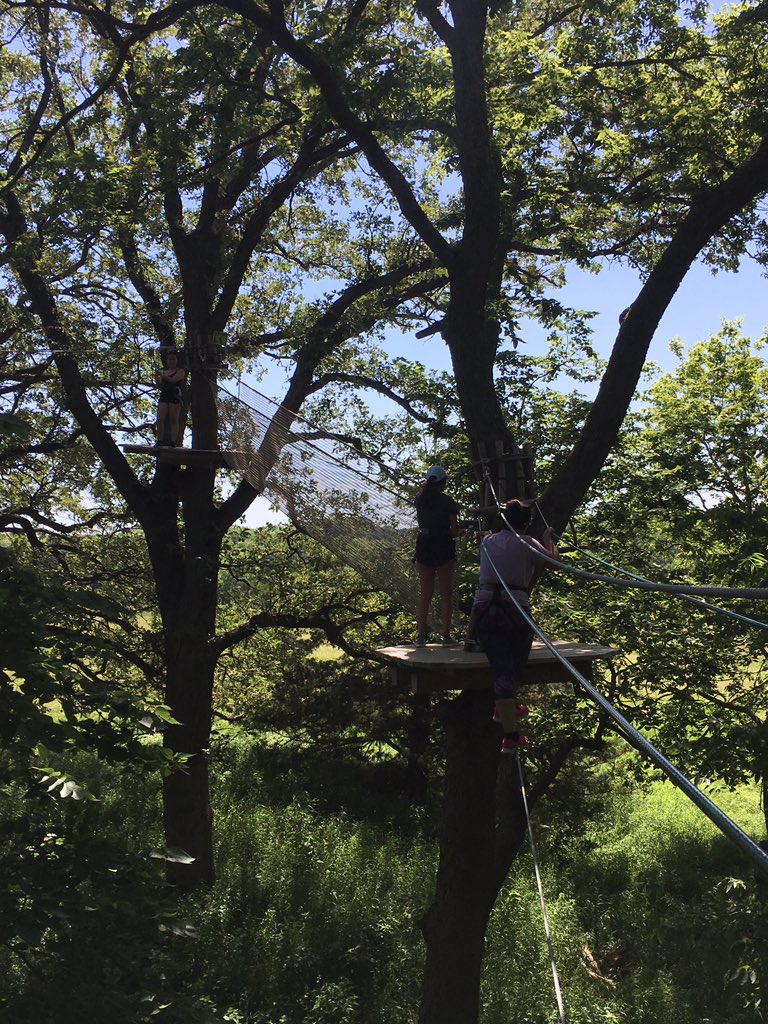 UNMCSHPEP's tweet photo. @UNMCSHPEP Scholars joined the @GoApeTribe. #treetopadventures https://t.co/X37Z843fQV