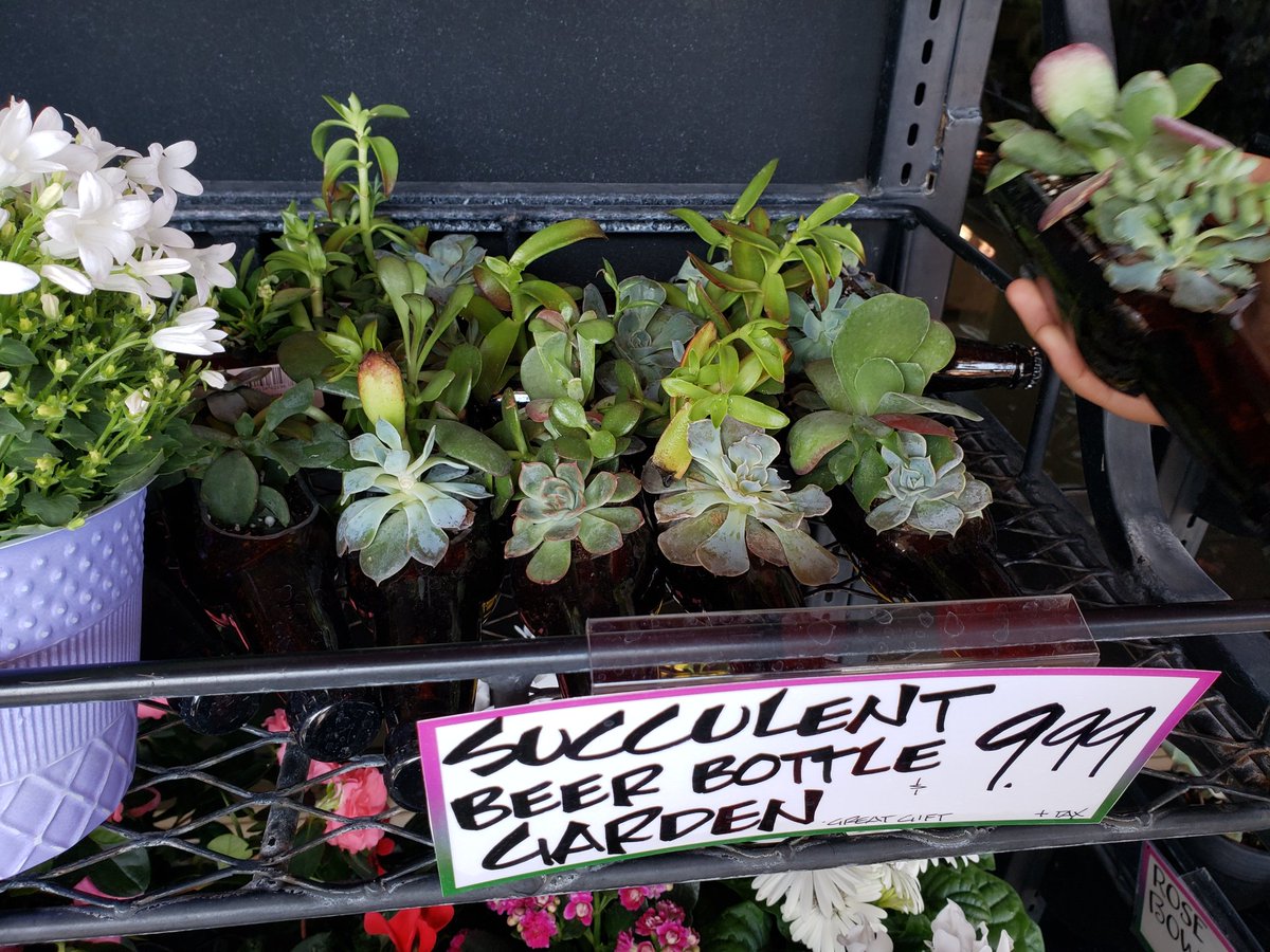 actthisname's tweet photo. PLANTS ARE SO COOL
I didn't know there's such thing as rainbow cauliflower https://t.co/cTlqQ2SbE0