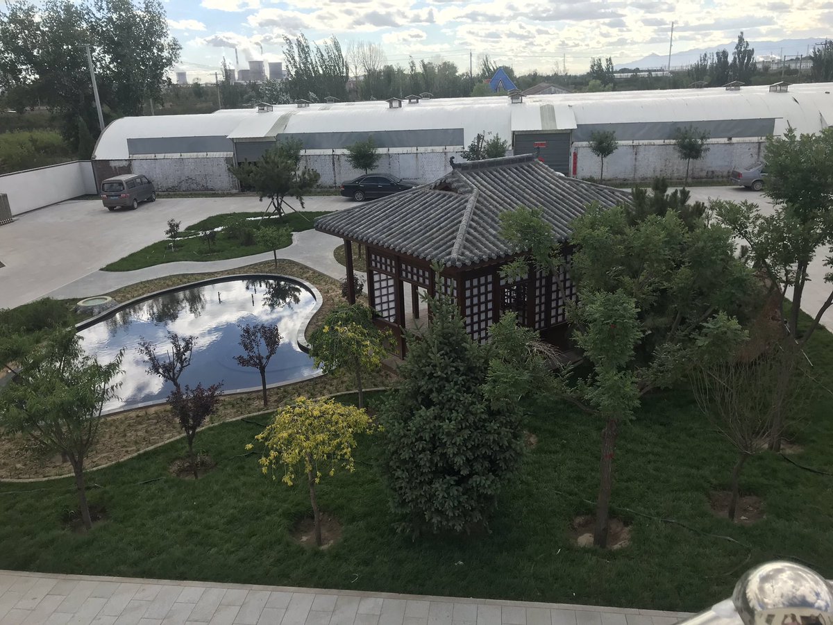 turuu06's tweet image. 