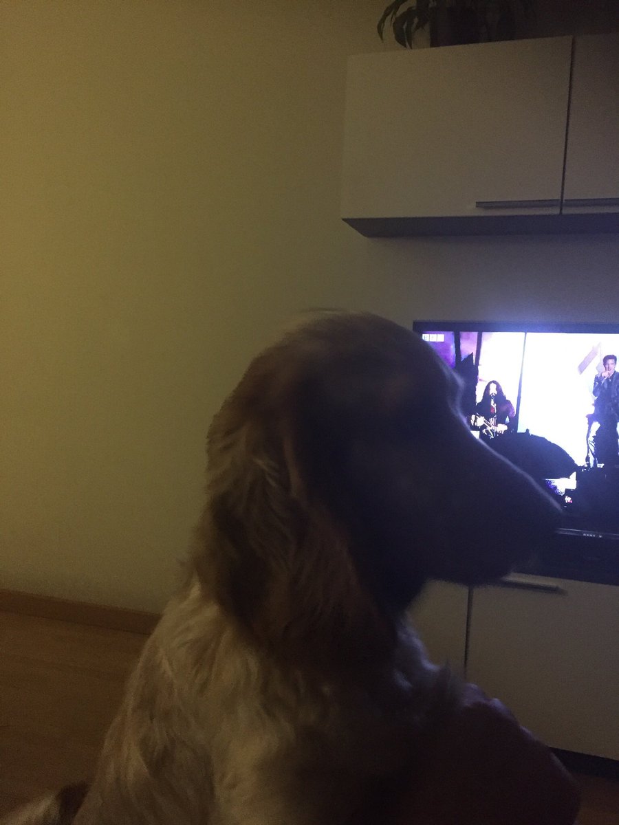 milkster's tweet photo. @thekillers She loved your concert tonight @GlastoFest https://t.co/Knme3LZQBu