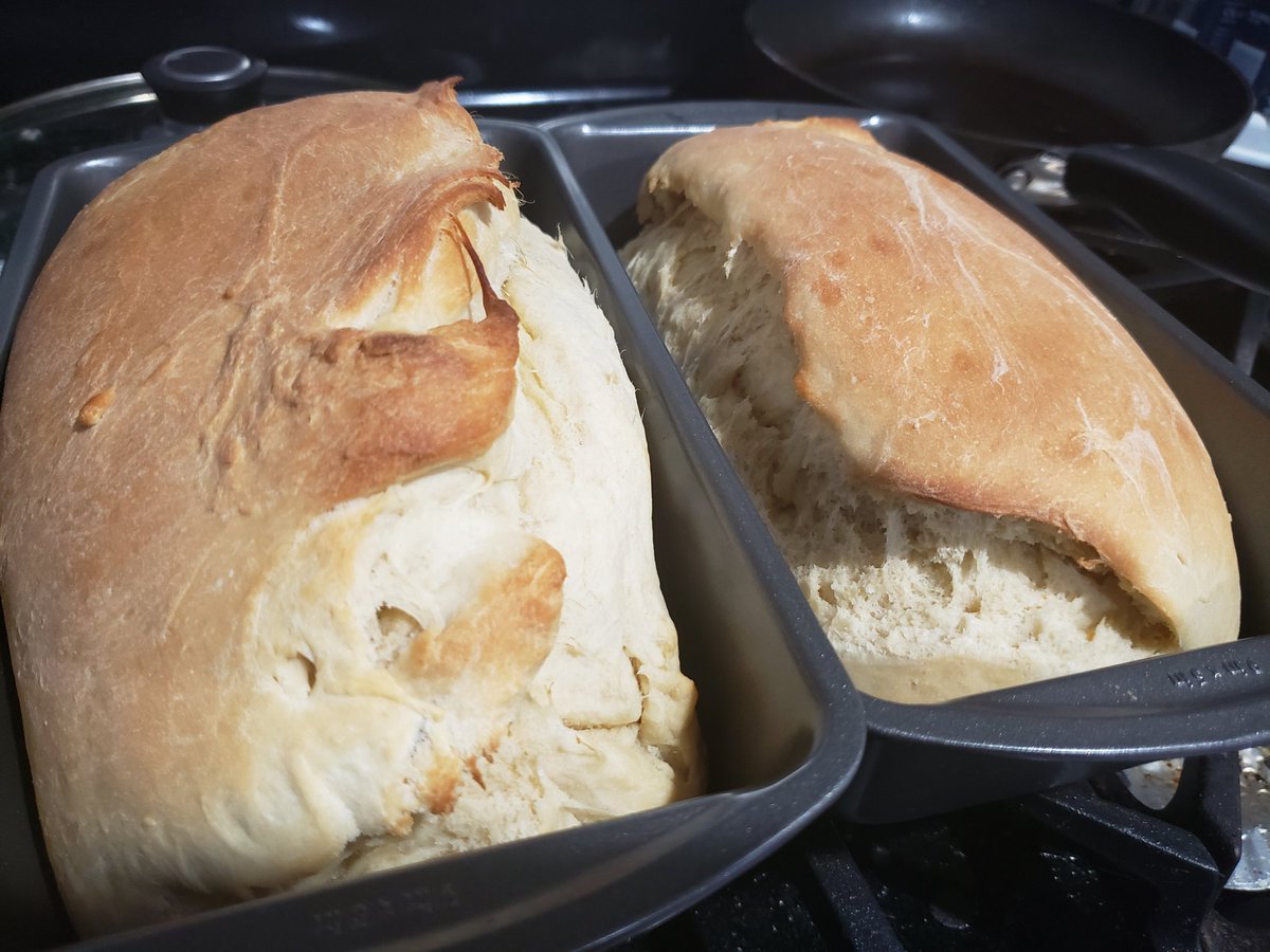 actthisname's tweet photo. My roommates and I had dinner last night with our neighbors (landlords), they made such good food, it was a great time over drinks and good company!! I canceled Friday stream to make white bread for the first time!! https://t.co/yIPEVYFCTg