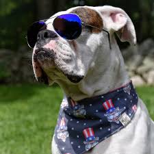 Wishing everyone the very best 4th of July!

kicksband.com