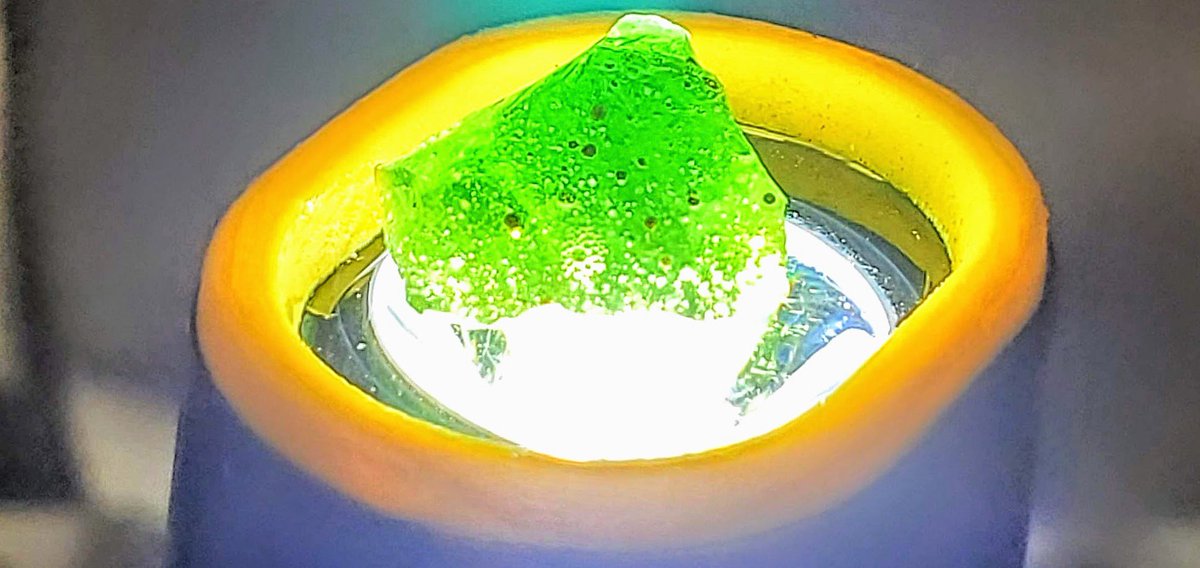Light Theory LLC tweet media