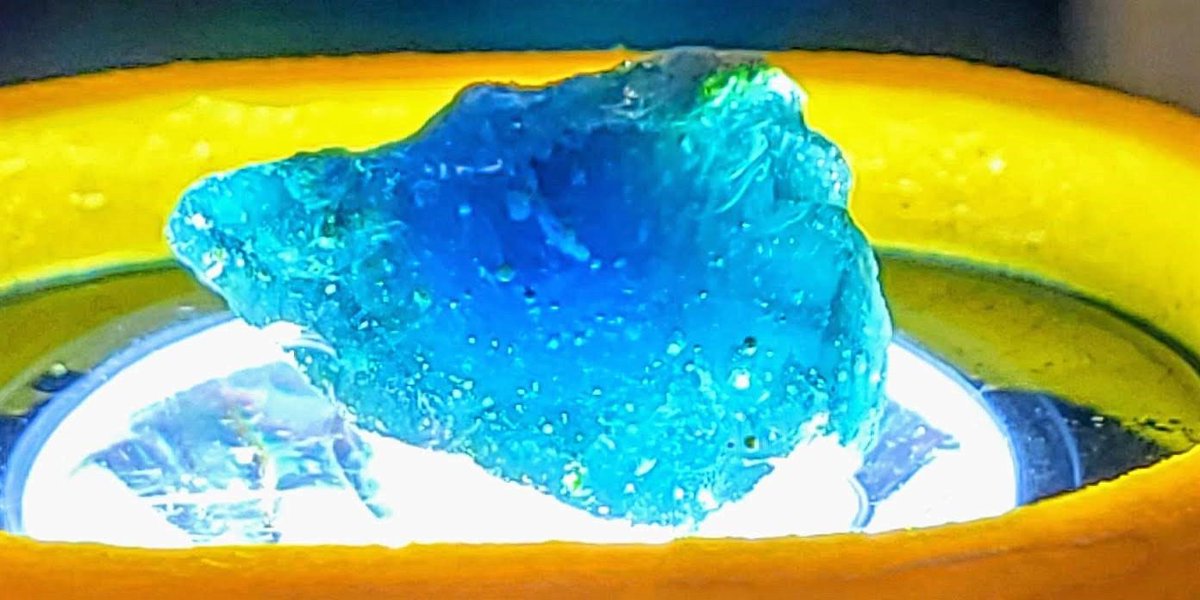 Light Theory LLC tweet media