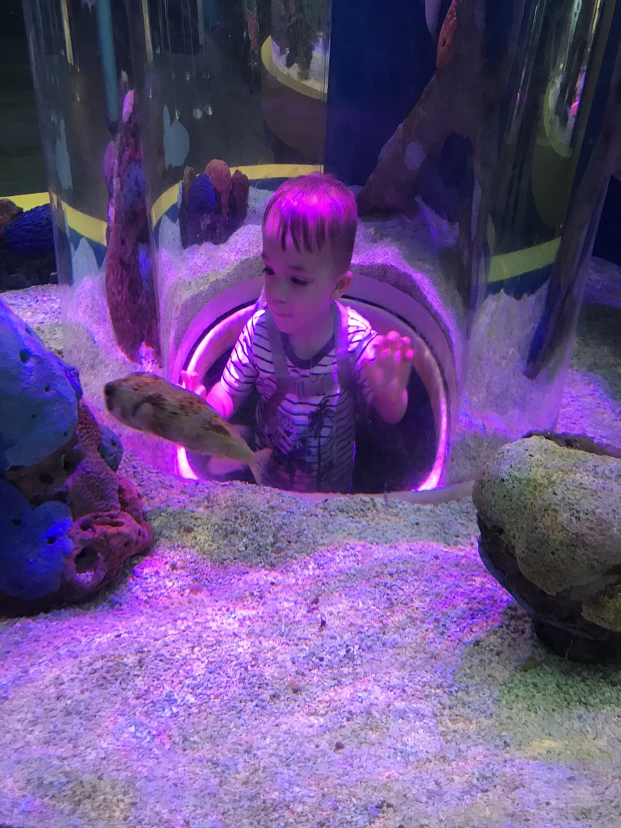 LJohnson0's tweet photo. 🐠 🐟 🐡🦈 https://t.co/hMuddmobiL