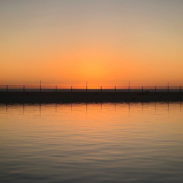 Mark Newhouse tweet media