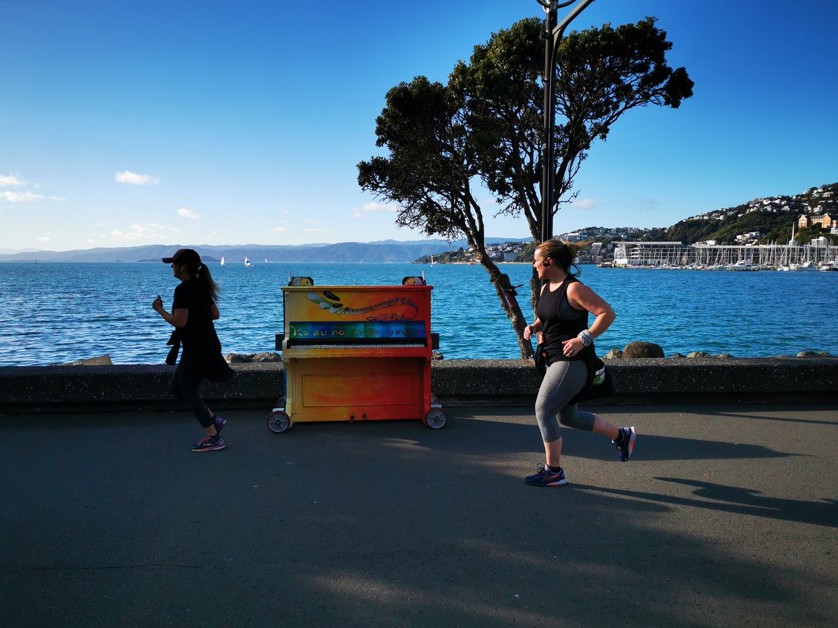 WildBayNZ's tweet image. What a glorious day for the Wellington's Marathon. So many people from the young &amp;amp; old completing the different courses. @WgtnCC #Wellington #WellingtonMarathon #WellingtonHelicopters #TheNakedMan