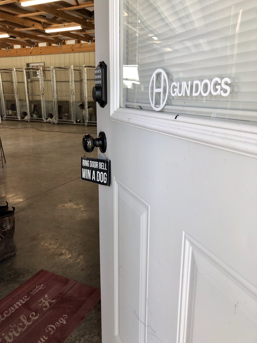 circlehbirddog's tweet photo. Not sure I agree with my wife’s decor! 🙄
#dogofalifetime #circlehgundogs #gundogtraining #gundog #birddog #fetchingfeathers #uplandhunting #uplandgundog #uplandaddiction #uplandathelete #coveyrise #uplandtroubadour #projectupland #huntkansas #kdwp #dtsystems #quailforever https://t.co/zrjQPKfsKk
