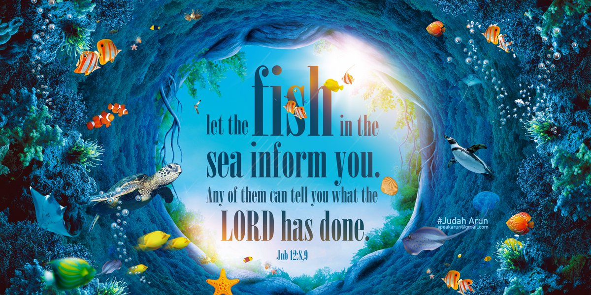 Judaharun's tweet photo. Let the fish in the sea speak to you.

#fish #fishing #fishsupper #SundayMotivation #quotes #quotesoftheday #quotesdaily #Bible #christian #bibleverse #BibleStudy #SundayThoughts #judaharun #DailyShoutout #design https://t.co/kLzDEMvlk1