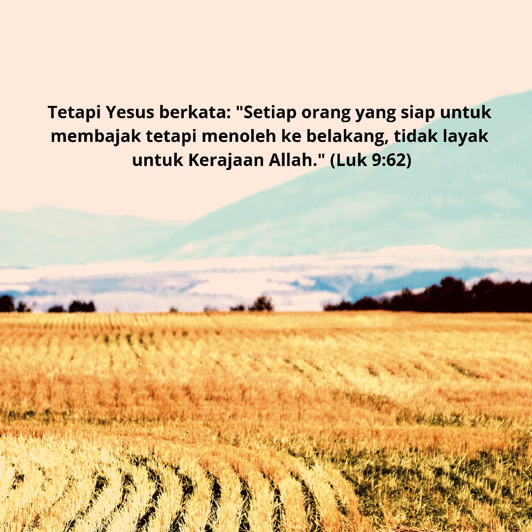 KMK_polnep's tweet photo. https://t.co/MRg9vEDrAs