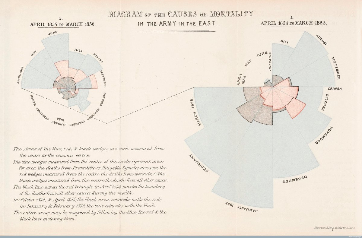 nightingale rose diagram nightingale rose diagram