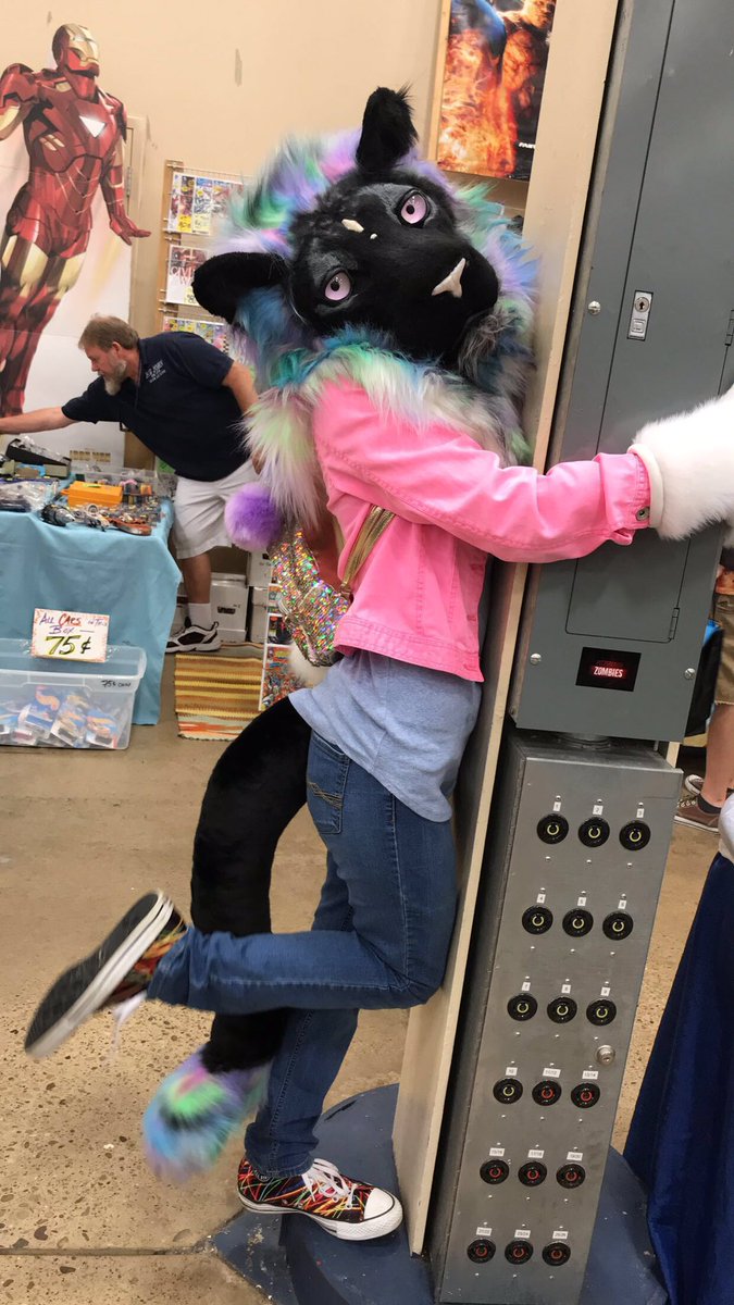 average_king_'s tweet photo. I cant wait to be able to attend a @PGHFurbowl in almost year! I even will bring King out for once! Who will be there?? https://t.co/B5zovElWkz