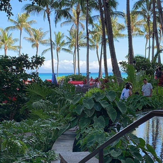 rhythmnation_hi's tweet photo. These might be the BEST working conditions ever! The views from our @waikikiwarriors are incredible. #nofilter #seriouslynofilter #aloha #ohana #btb https://t.co/Lp0sap4UXT https://t.co/T2OodIiZpt