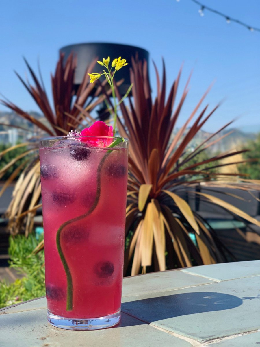 BrokenShedVodka's tweet photo. Lounging on a #WestHollywood rooftop with a Broken Limonada, a new cocktail making its world premiere at the @LAFoodFest this weekend.
#BrokenShed #Vodka #NewZealand #WheyBetter #Cocktail #LosAngeles #CA https://t.co/EwrroUmhtr
