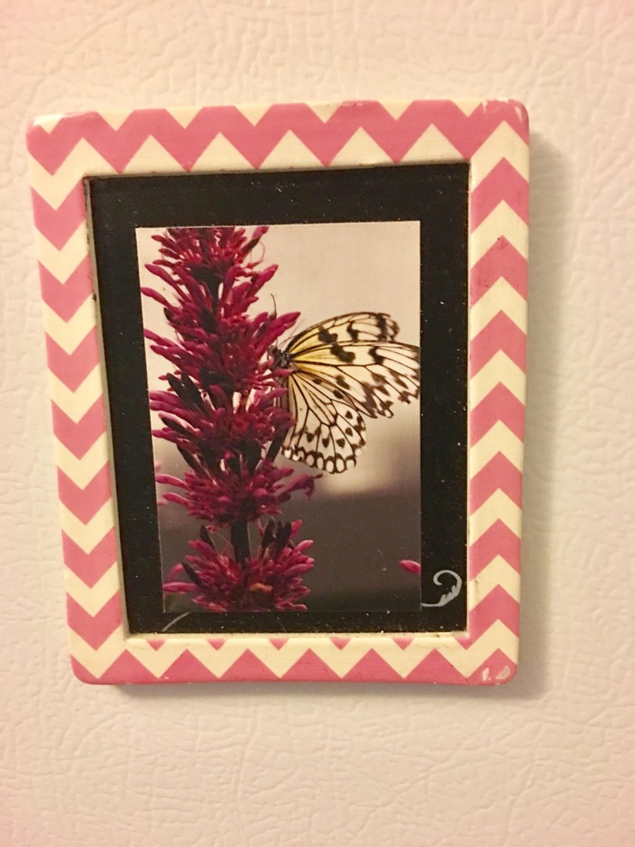 naturisticimage's tweet photo. Butterfly Fridge Magnet Butterfly Print Magnet Refrigerator Magnet Butterfly Magnet Kitchen Magnet Art Magnet Framed Magnet https://t.co/Jl2VthLEZS #gift #Wallart #nature #sale #Etsy #NaturisticImages #photography #ButterflyMagnet https://t.co/DGVvtBrL3K