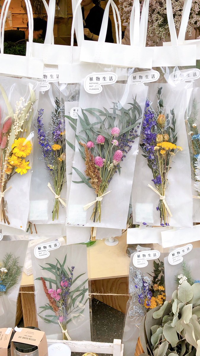 吉祥寺parco 期間限定オープン中の植物生活 Shokusei は本日まで 素敵な空間にこころがきらめきます 1f特設会場にてお待ちしています 植物生活 植物標本 ドライフラワー