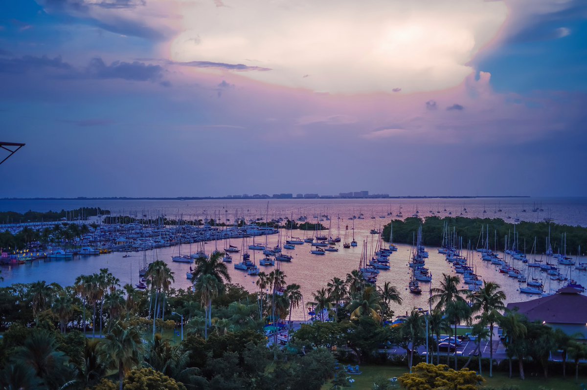panoramamiamicg's tweet photo. Let’s celebrate like it’s the 4th of July! Literally. 🇺🇸✨
#wheretogoinmiami #miamifood #eatmiami #coconutgrove #coconutgroverestaurant #miami #foodie #doinmiami #thegrove #miamifoodieblogger #foodgram #instafood #miamihappyhour #miamiviews #miamiviews #miamipanorama #foodie https://t.co/lOuzL4YTBe