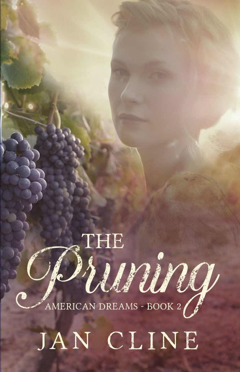 Jan_Cline's tweet photo. Book 2 in my series is up for pre-order! https://t.co/rlVmt5qpqr https://t.co/zljEBHJR04