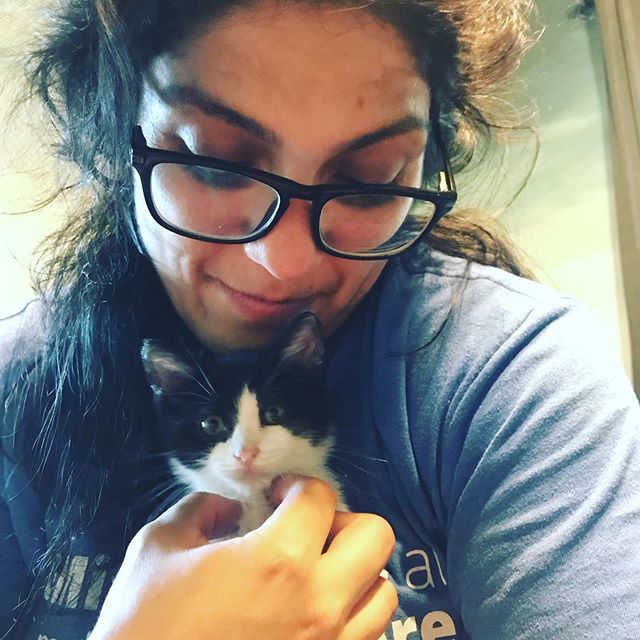 Less than 2 pounds but he is mighty! #handsome #guapo #kitten #myloves #tiniestfloof ift.tt/2Yngzc3