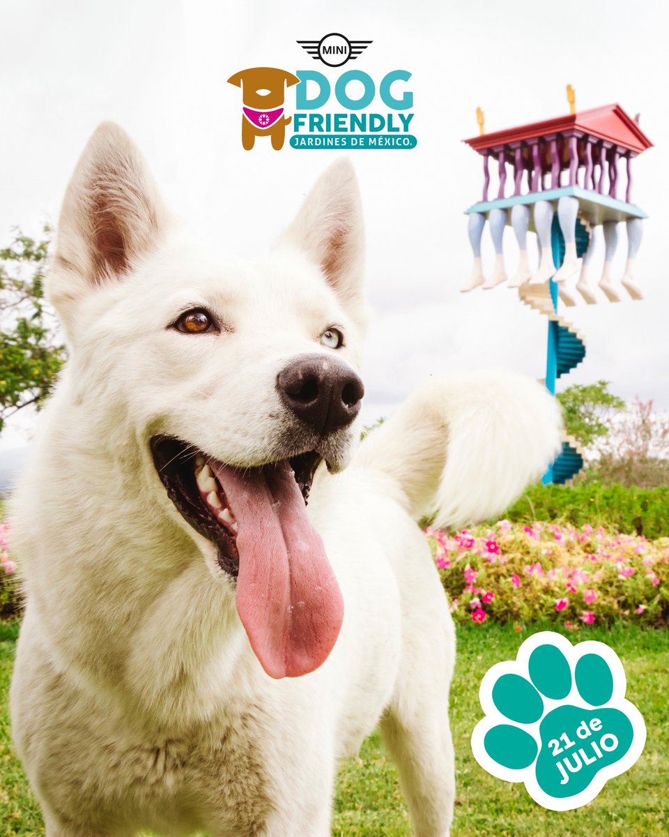 jardinesdemex's tweet photo. ¿Ya tienen sus boletos para la 3° edición del #DogFriendlyJDM? Los esperamos este 21 de julio en #JardinesDeMéxico para que disfruten junto a su mejor amigo de los 7 jardines temáticos que podrán encontrar! https://t.co/Nd2bsq6tmF 🐾🌵🌺 #NaturalmenteInolvidable https://t.co/uVInBESmo7