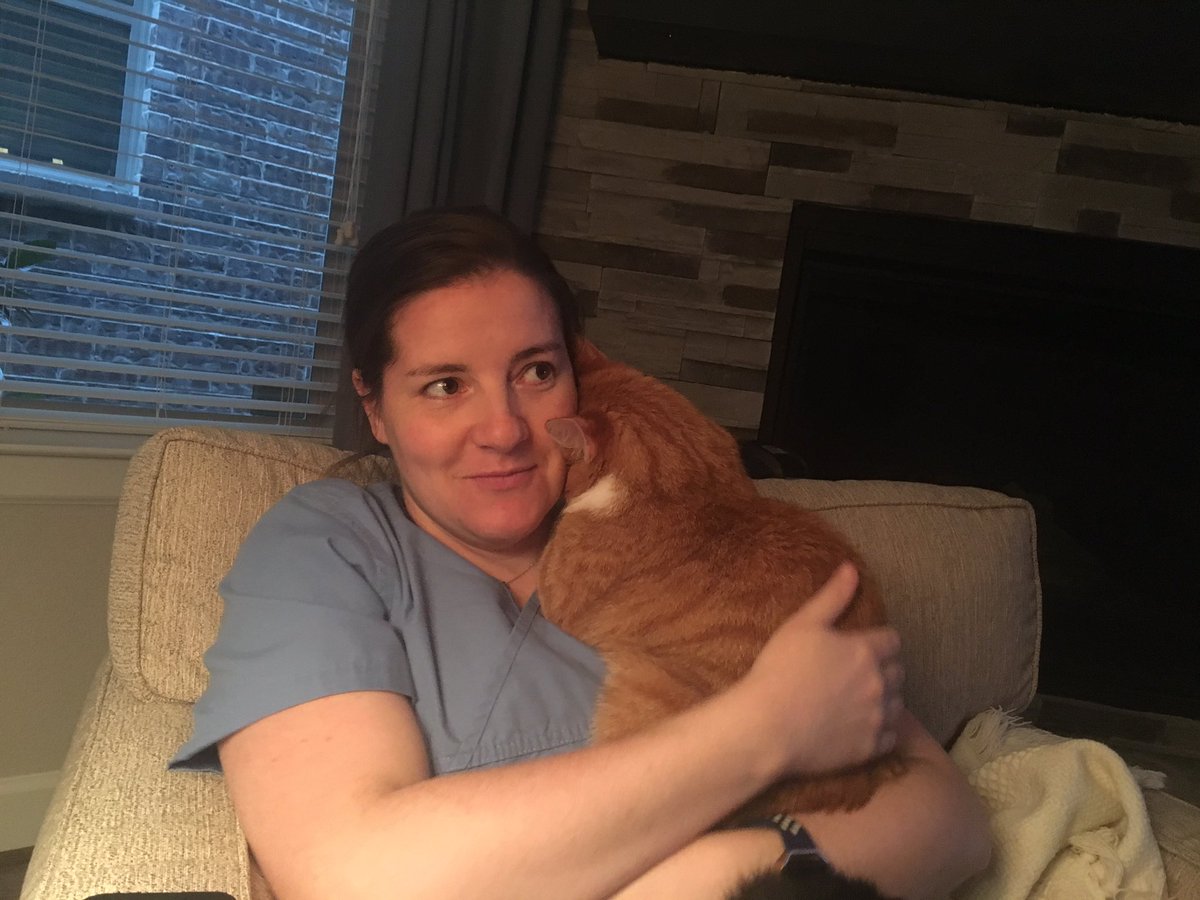 CharweeMonster's tweet photo. Charlie loves snuggling his mom https://t.co/XWoM2Vuplj