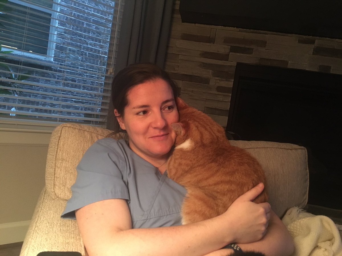 CharweeMonster's tweet photo. Charlie loves snuggling his mom https://t.co/XWoM2Vuplj