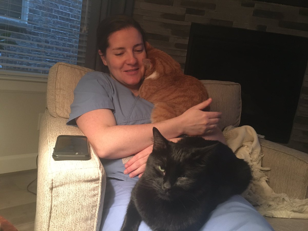 CharweeMonster's tweet photo. Charlie loves snuggling his mom https://t.co/XWoM2Vuplj