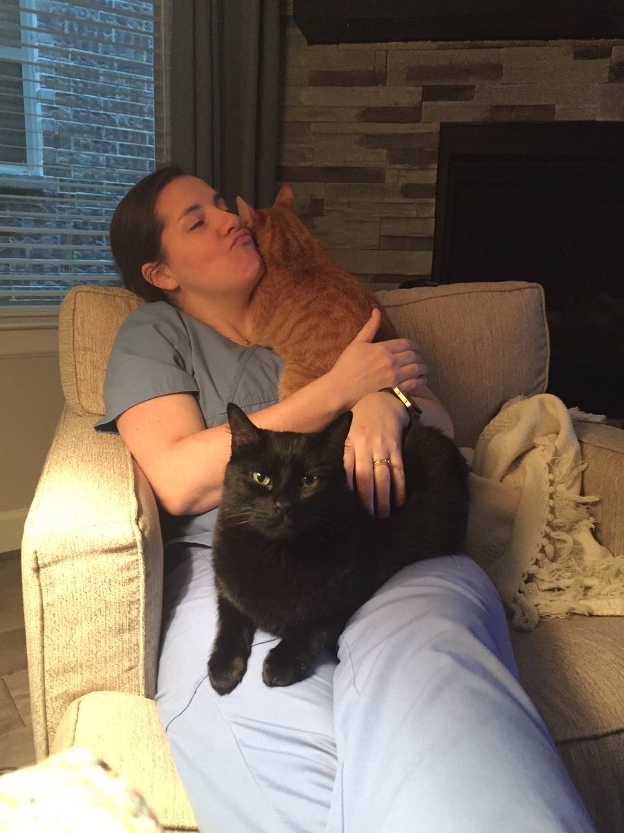 CharweeMonster's tweet photo. Charlie loves snuggling his mom https://t.co/XWoM2Vuplj
