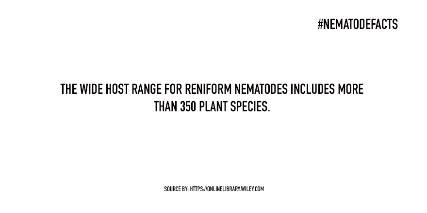 NematodeFacts's tweet photo. In the absence of host crops, weeds can support reniform nematode populations. https://t.co/SRUiANIFR5