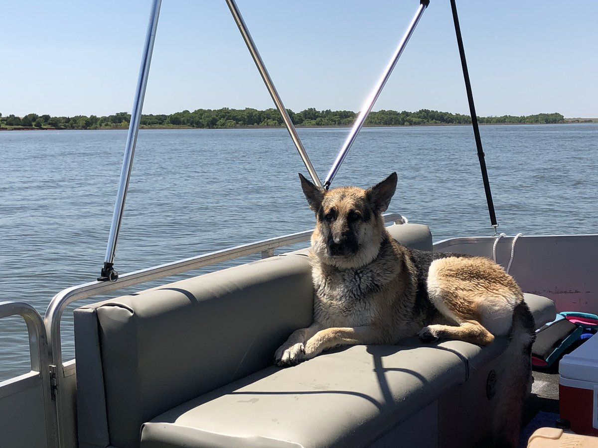 SamKulper's tweet photo. @AsadTariq122 Spent this weekend at the lake with my own “Rommel”... so maybe next week‽ https://t.co/h6O9Dgr00a