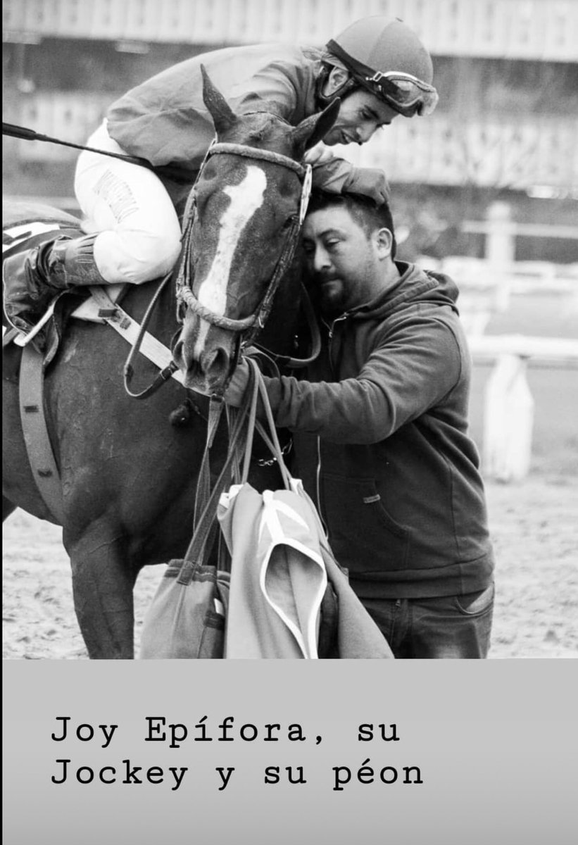 haraslanora's tweet photo. Gracias equipo! Toda la pasión,actitud y energía que nos regalan todos los dias, resumida en esta espectacular foto.
Gracias ⁦@info_turf⁩ https://t.co/WiesNiVMy3