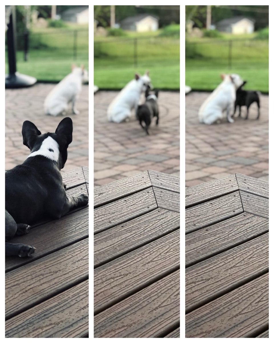 JillRollie's tweet photo. “Let’s stop waiting for a better world. Let’s start working on it together.” #MindfulMac #MiraMantra #JoyfulLeaders #doglovers https://t.co/77VuSshXwY