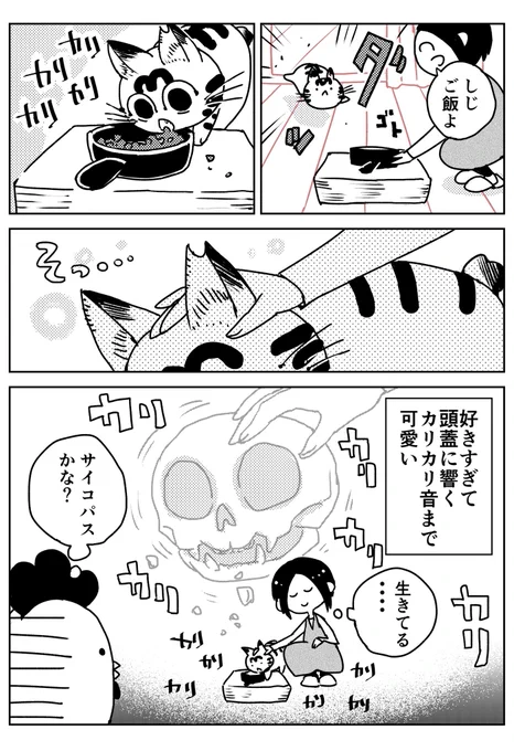 猫飼いました45 