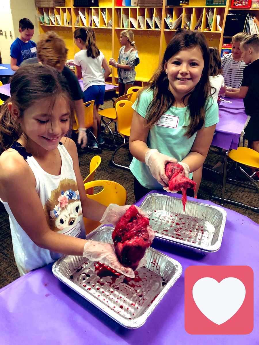 Melissa Haney tweet media