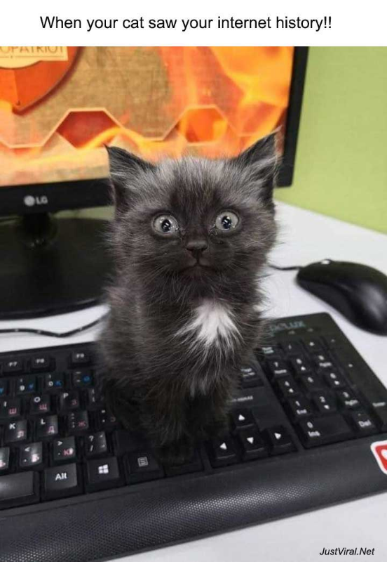 justviralnet's tweet photo. 48 Times Internet Has Shared The Best Animal Pictures That Are Absolutely Hilarious - https://t.co/zki4wYPHTR https://t.co/ctN64HAZfr https://t.co/xdLLUxuJ6f