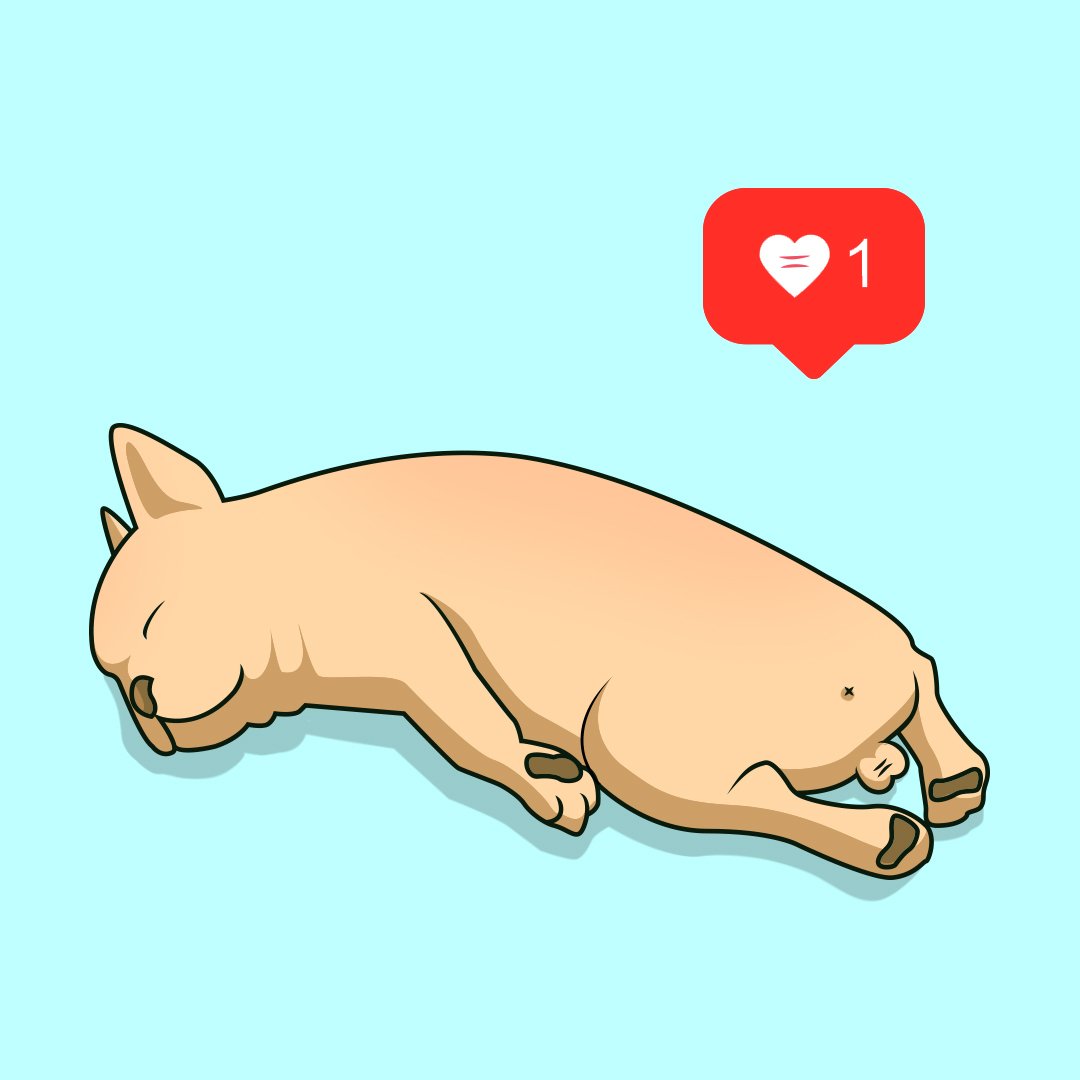 MuchaCartel's tweet photo. Too hot to do anything 🌡️😌 by @damienblasco

#muchacartel #graphicdesign #art #graphicgang #graphicdesigndaily #graphicdesigncentral #designer #designers #illustration #dog #doggo https://t.co/pFfIWI9iVj