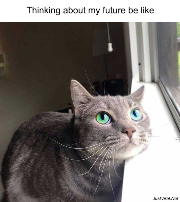 justviralnet's tweet photo. 48 Times Internet Has Shared The Best Animal Pictures That Are Absolutely Hilarious - https://t.co/zki4wYPHTR https://t.co/ctN64HAZfr https://t.co/bTM7Yn7w1H
