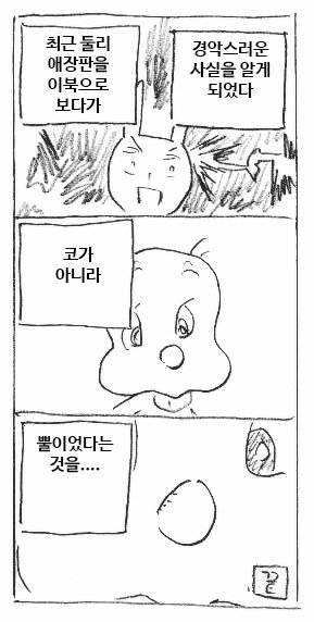 둘리 