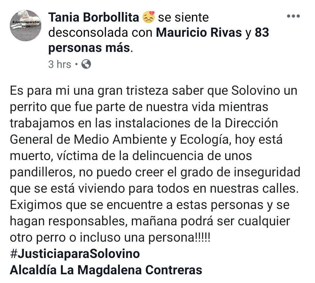 perrososmx's tweet photo. 🆘 🚨 #JusticiaparaSolovino pandilleros lo mataron #29Jun2019 @MContrerasCDMX @poderAGMC @MarianimaLOVERS  @mtz_tt @iztalccihuatl @norahdi66  @misslagunera @EEYYYAA @acano52 @SOSsalchichas @diana_dfc @mariluzza @JerrxG13  @JMRivaPalacio @_PatriciaAnaya  https://t.co/eCCLMMDEP0 https://t.co/JgwHqfHzlq